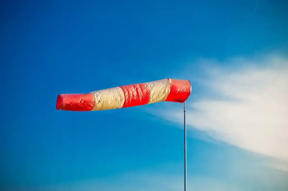 Wind vane facts will help you understand one of the first instruments to feel wind direction.