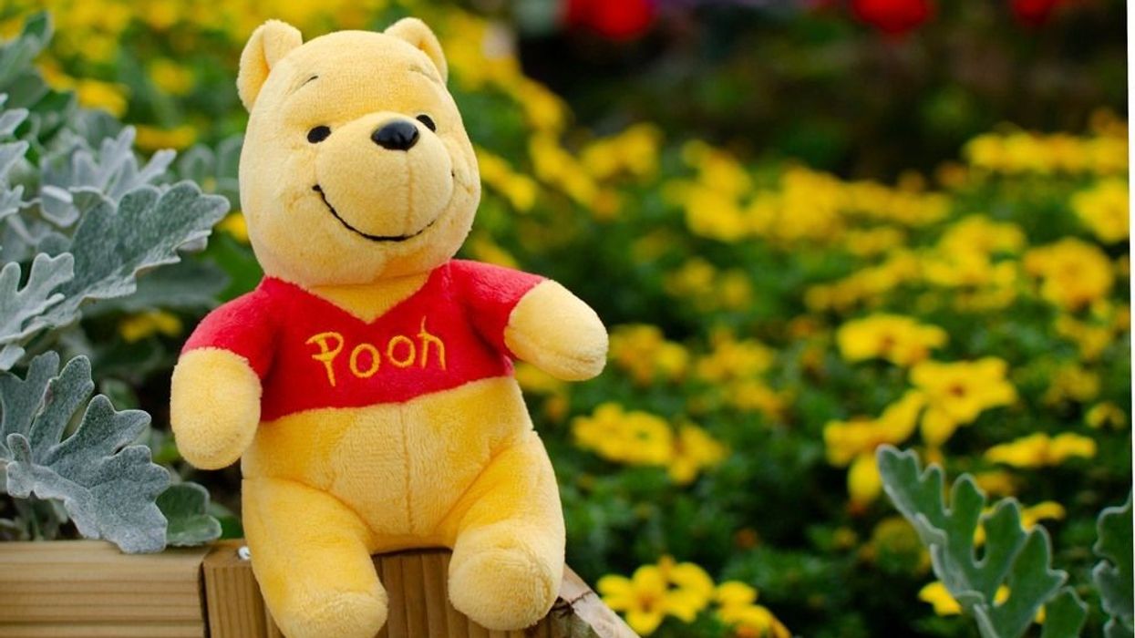 Winnie The Pooh in a garden