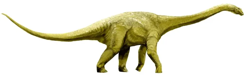 Wintonotitan facts include details like its meaning is 'Winton's Titan'.