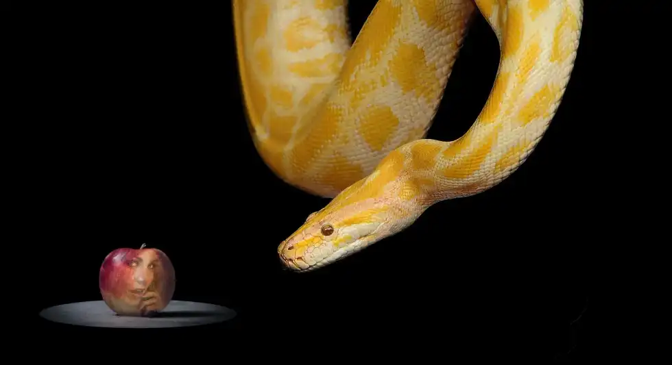 With these Adam and Eve facts, you'll also find that the snake and the apple play a very crucial role in the fall of man.