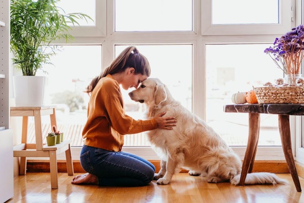 Woman hugging her adorable golden retriever dog at home