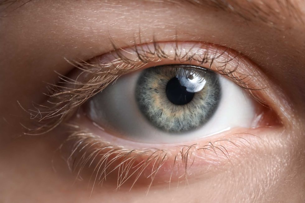 Facts About Gray Eyes: Why It Is One Of The Rarest Eye Colors 