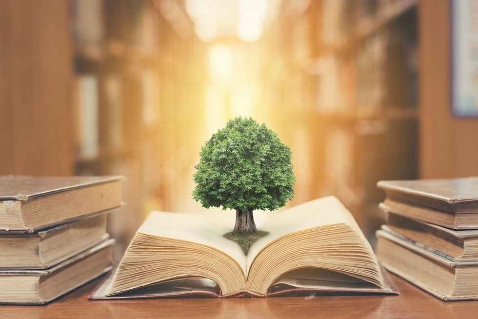 World philosophy day education concept with tree of knowledge planting on opening old big book in library with textbook.