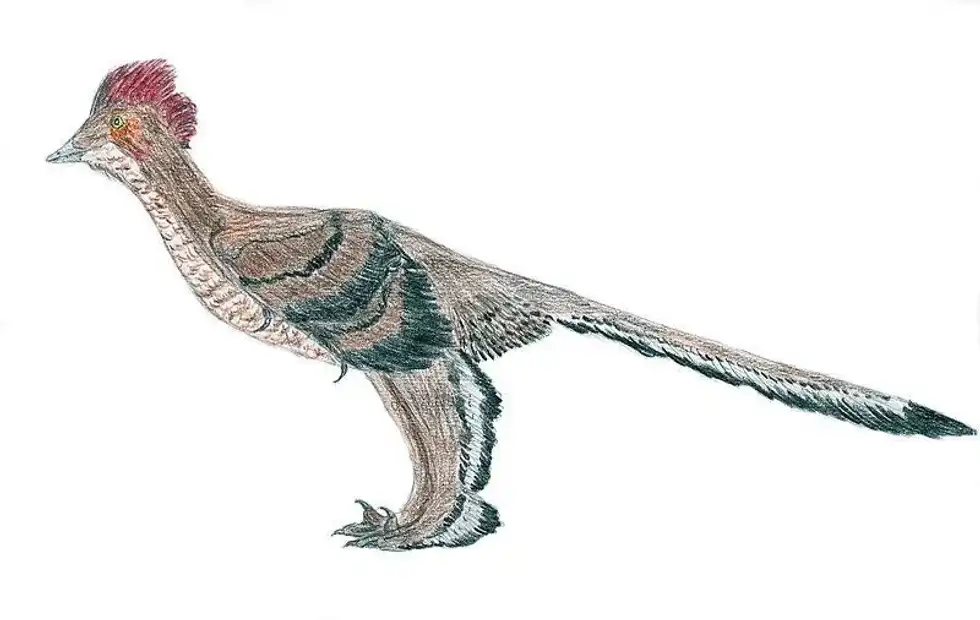 Xiaotingia facts shed light on this amazing dinosaur