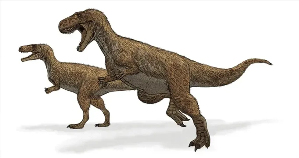 Xuanhanosaurus means 'Xuanhan lizard'.