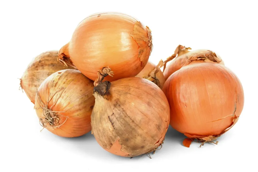 Yellow onion nutrition facts talk about its calcium, iron, protein, and fiber level.