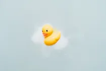 Yellow rubber duck with soapy foam on it.