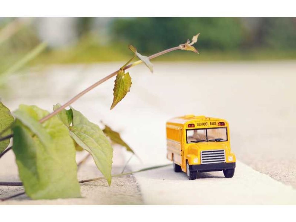 Yellow school bus toy model on country road