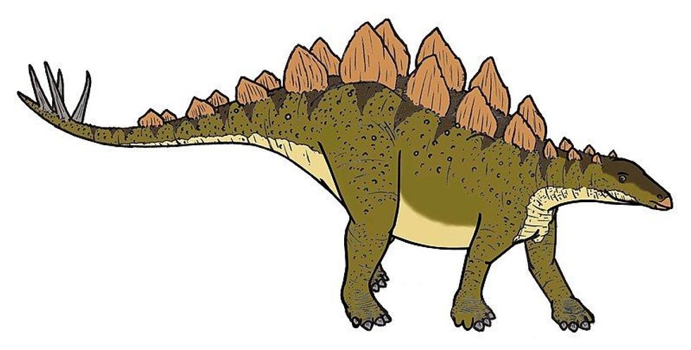 Yingshanosaurus facts are all about a stegosaurian dinosaur that lived in China during the Late Jurassic period.