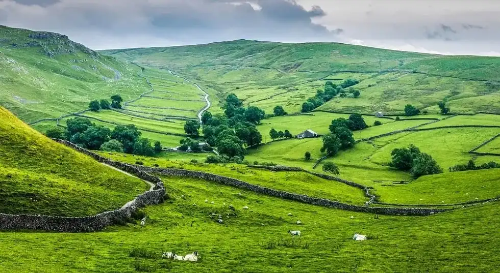 Yorkshire Day is a celebration of the historic English county of Yorkshire in the UK.