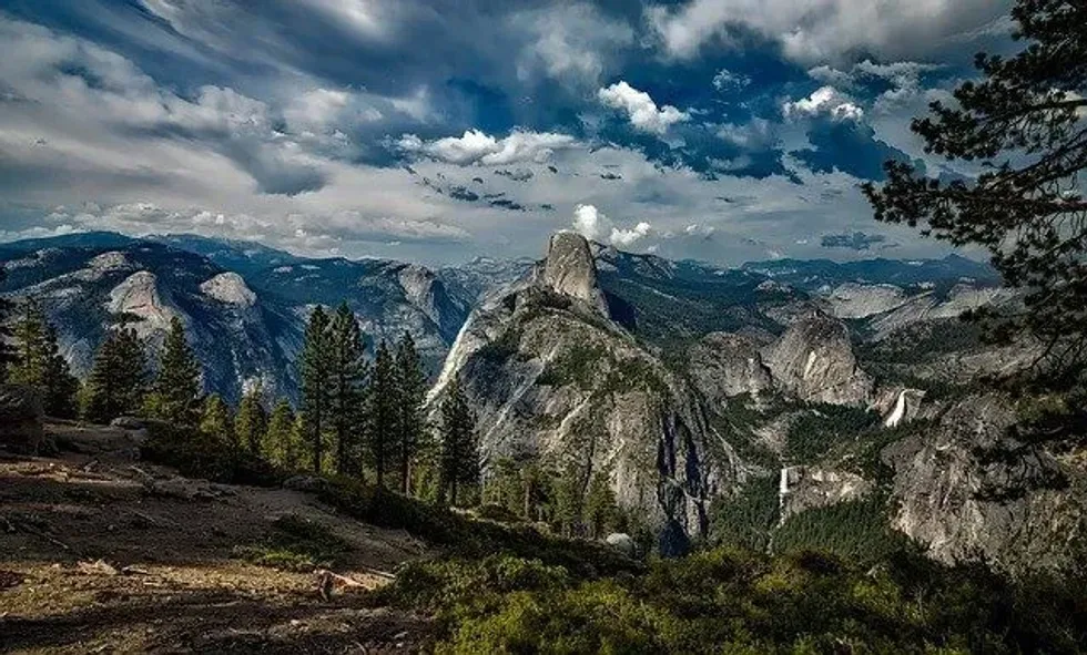 Yosemite National Park got its name from the Indigenous word 'uzumate,' which means grizzly bear.