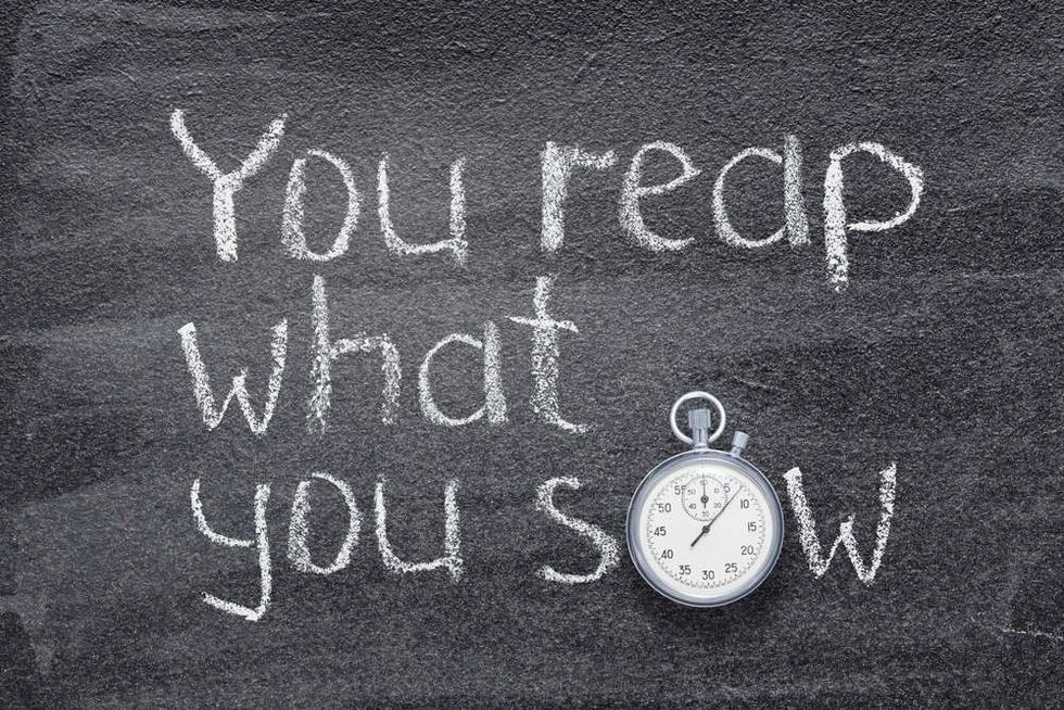 You reap what you sow Chinese proverb written on chalkboard with vintage precise stopwatch.