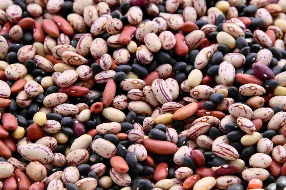 You will find these bean facts to be interesting.