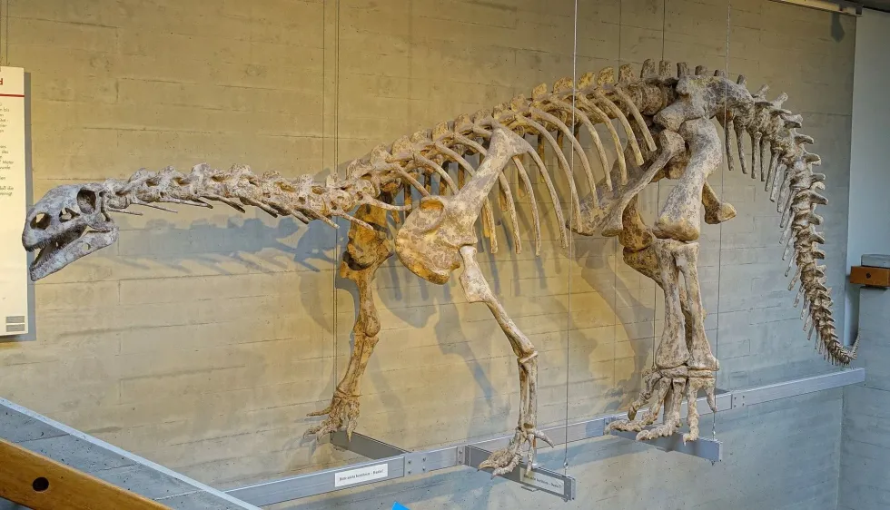 You will love knowing Nyasasaurus facts about the earliest dinosaurs known