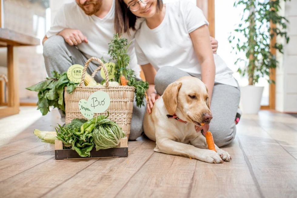 Young lovely couple sitting together with their dog and fresh green vegetables