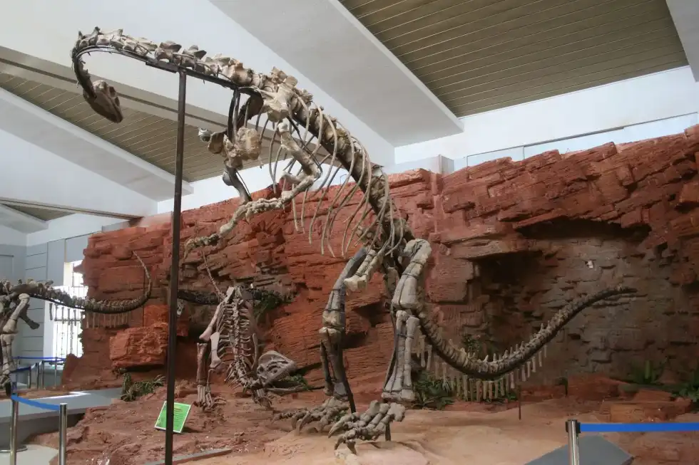 Yunnanosaurus facts are fun to read.