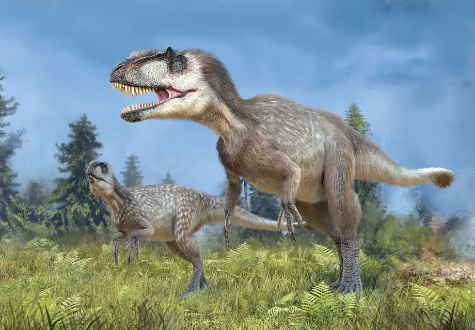 Yutyrannus facts include that it provided direct evidence of feathers on large flightless dinosaurs.