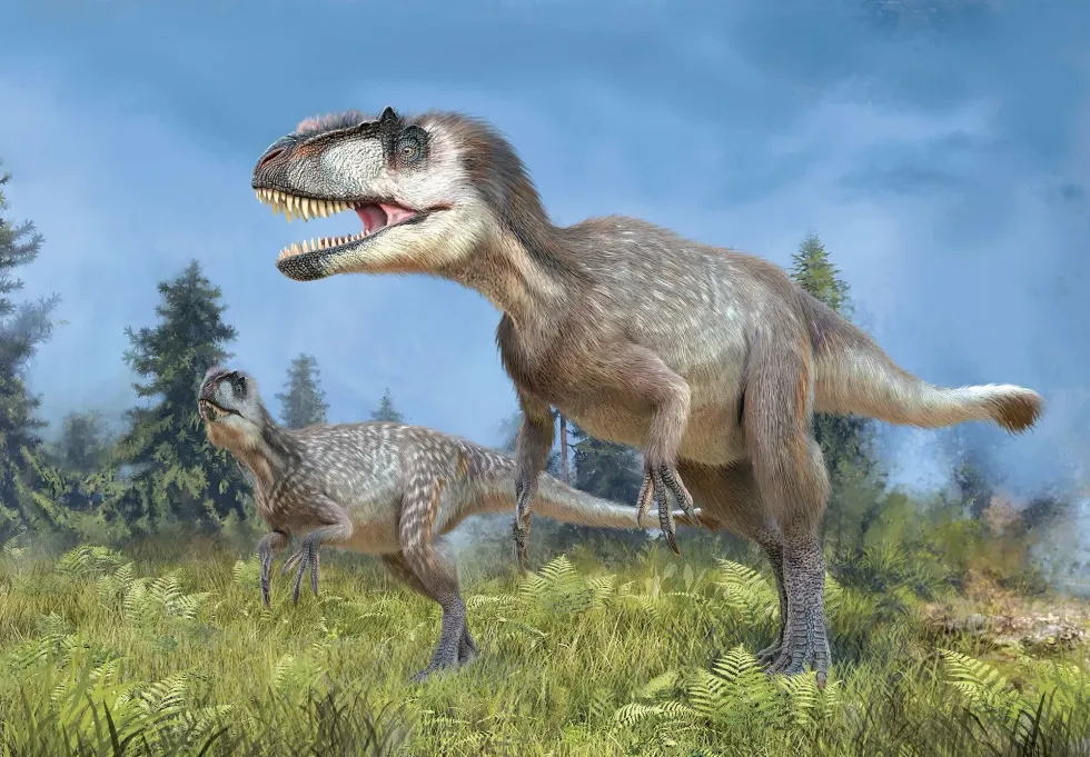 Yutyrannus facts include that it provided direct evidence of feathers on large flightless dinosaurs.
