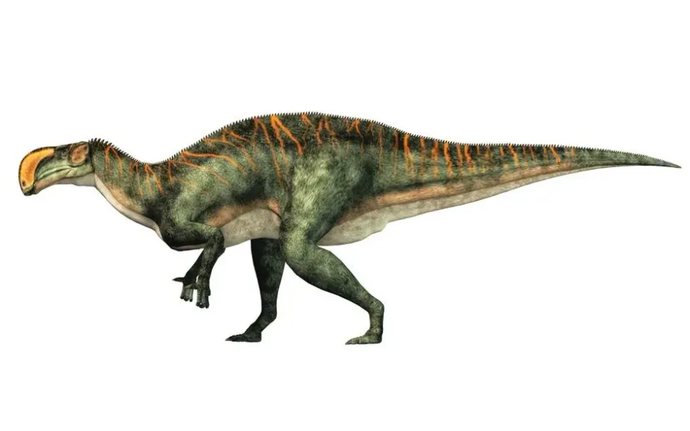 Zephyrosaurus facts that you can't forget.