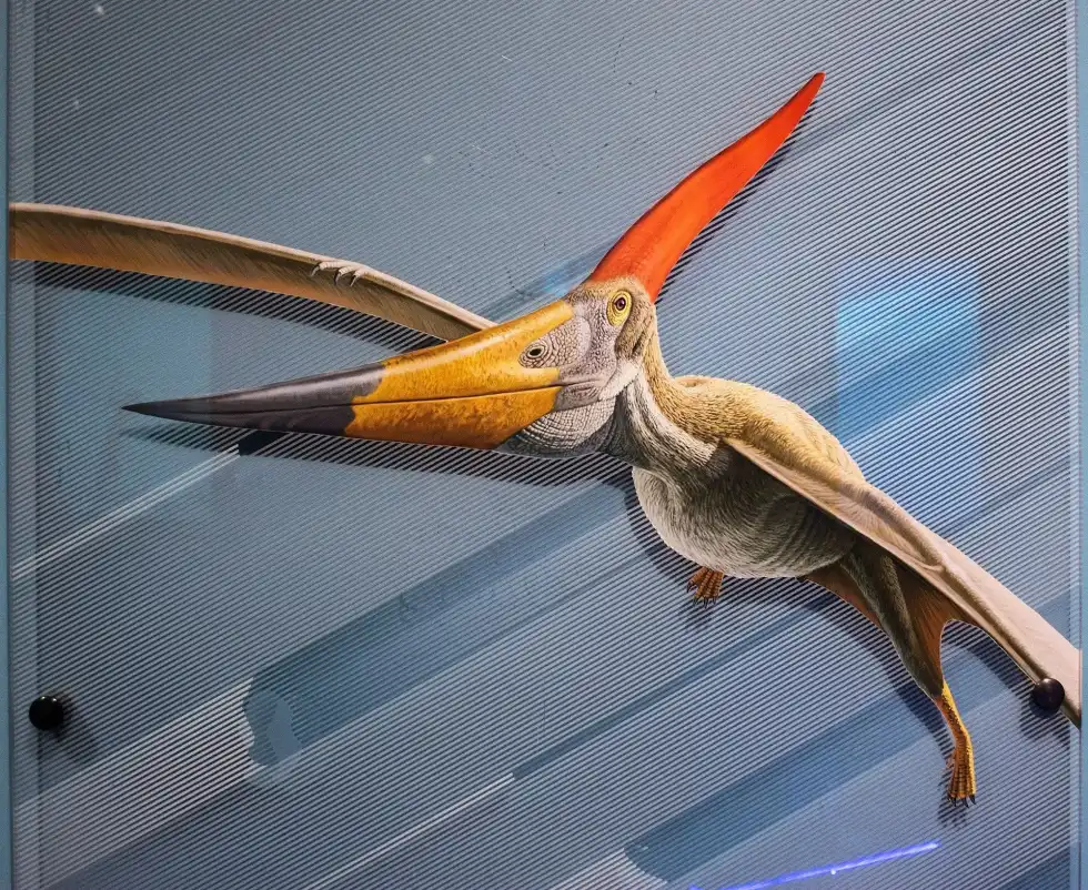 Zheijiangopterus facts are interesting for kids and adults.