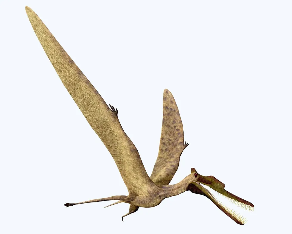 Zhenyuanopterus facts include that this was a reptile found in China in the early Cretaceous period.