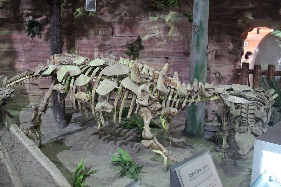 Zhongyuansaurus facts are great for kids.