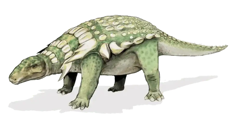 Zhuchengceratops facts talk about the classification of these vertebrae.