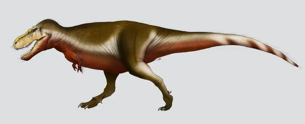 Zhuchengtyrannus facts are extremely captivating for everyone to read.